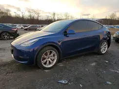 5YJYGDEE8MF060710 2021 TESLA MODEL Y