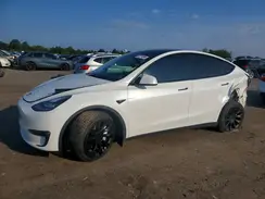 5YJYGDEE8MF062053 2021 TESLA MODEL Y