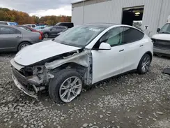5YJYGDEE8MF063218 2021 TESLA MODEL Y