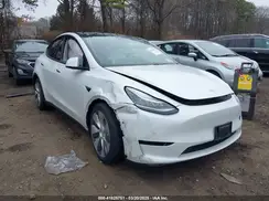 5YJYGDEE8MF069391 2021 TESLA MODEL Y