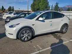 5YJYGDEE8MF077541 2021 TESLA MODEL Y