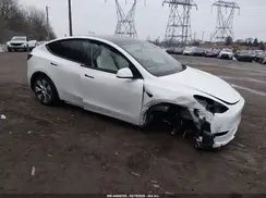 5YJYGDEE8MF100543 2021 TESLA MODEL Y
