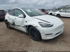 5YJYGDEE8MF102521 2021 TESLA MODEL Y