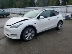 5YJYGDEE8MF117066 2021 TESLA MODEL Y