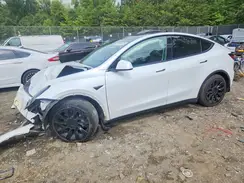 5YJYGDEE8MF125684 2021 TESLA MODEL Y