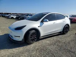 5YJYGDEE8MF161536 2021 TESLA MODEL Y