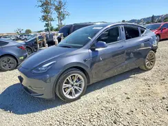 5YJYGDEE8MF203526 2021 TESLA MODEL Y