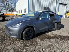 5YJYGDEE8MF217460 2021 TESLA MODEL Y