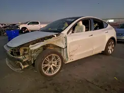 5YJYGDEE8MF300970 2021 TESLA MODEL Y
