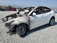 5YJYGDEE9LF054428 2020 TESLA MODEL Y