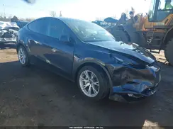 5YJYGDEE9MF066094 2021 TESLA MODEL Y