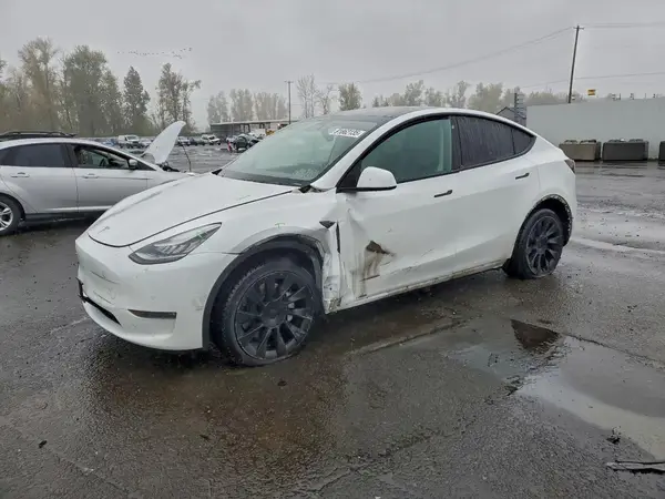 5YJYGDEE9MF072445 2021 TESLA MODEL Y - Image 1
