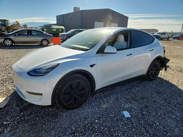 5YJYGDEE9MF076057 2021 TESLA MODEL Y - Image 1