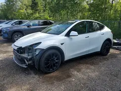 5YJYGDEE9MF253660 2021 TESLA MODEL Y