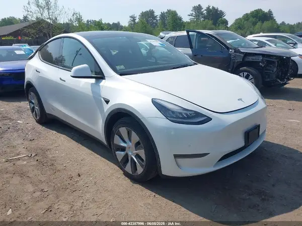 5YJYGDEEXLF028453 2020 TESLA MODEL Y - Image 1