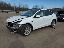 5YJYGDEEXMF063219 2021 TESLA MODEL Y