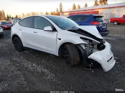 5YJYGDEEXMF095166 2021 TESLA MODEL Y