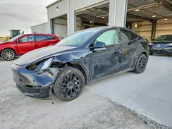 5YJYGDEEXMF097161 2021 TESLA MODEL Y