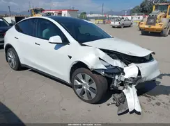 5YJYGDEEXMF195798 2021 TESLA MODEL Y