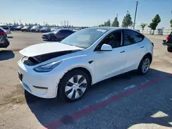 5YJYGDEEXMF239427 2021 TESLA MODEL Y