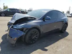 5YJYGDEEXMF240545 2021 TESLA MODEL Y