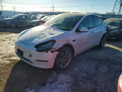 5YJYGDEEXMF244465 2021 TESLA MODEL Y