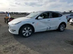 5YJYGDEEXMF244899 2021 TESLA MODEL Y