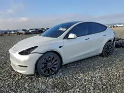 5YJYGDEF1MF098787 2021 TESLA MODEL Y