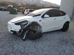 5YJYGDEF1MF246632 2021 TESLA MODEL Y