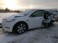 5YJYGDEF8LF037466 2020 TESLA MODEL Y