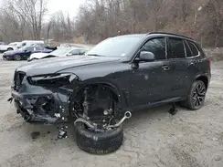 5YMJU0C01P9R66696 2023 BMW X5