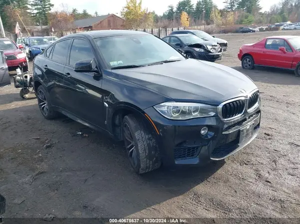 5YMKW8C54G0R43846 2016 BMW X6 M - Image 1