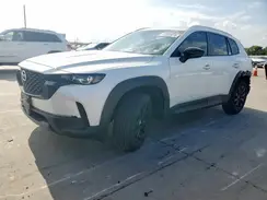 7MMVABAM1RN212213 2024 MAZDA CX-50