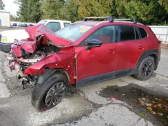 7MMVABBM2RN237331 2024 MAZDA CX-50