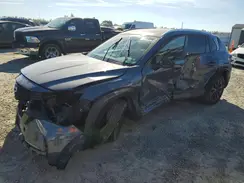 7MMVABBM3RN162249 2024 MAZDA CX-50