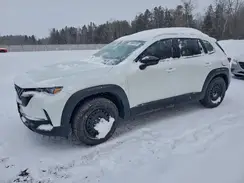 7MMVABDM5RN189384 2024 MAZDA CX-50