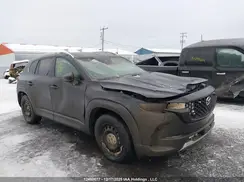 7MMVABDY0RN165819 2024 MAZDA CX-50