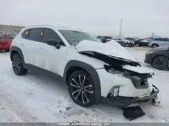 7MMVABDY6RN227241 2024 MAZDA CX-50