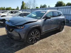 7MMVABDY7RN168183 2024 MAZDA CX-50