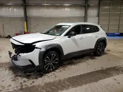 7MMVABEM8RN191354 2024 MAZDA CX-50