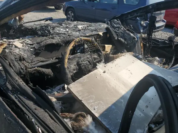 7SAXCAE55PF423381 2023 TESLA MODEL X - Image 8