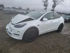 7SAYGAEE0PF698598 2023 TESLA MODEL Y