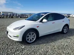 7SAYGAEE1PF828176 2023 TESLA MODEL Y