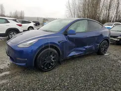 7SAYGAEE1RF081083 2024 TESLA MODEL Y