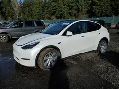 7SAYGAEE1RF988982 2024 TESLA MODEL Y