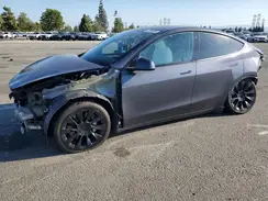 7SAYGAEE2PF646213 2023 TESLA MODEL Y