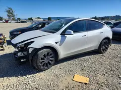 7SAYGAEE2RF008613 2024 TESLA MODEL Y