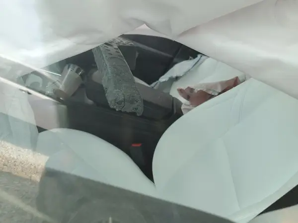 7SAYGAEE2RF168684 2024 TESLA MODEL Y - Image 8