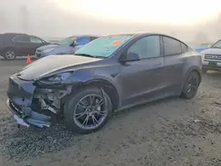 7SAYGAEE2SF257175 2025 TESLA MODEL Y