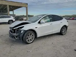 7SAYGAEE3PF646270 2023 TESLA MODEL Y